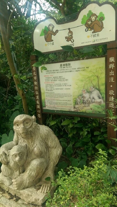 IMAG5975.jpg?type=w773