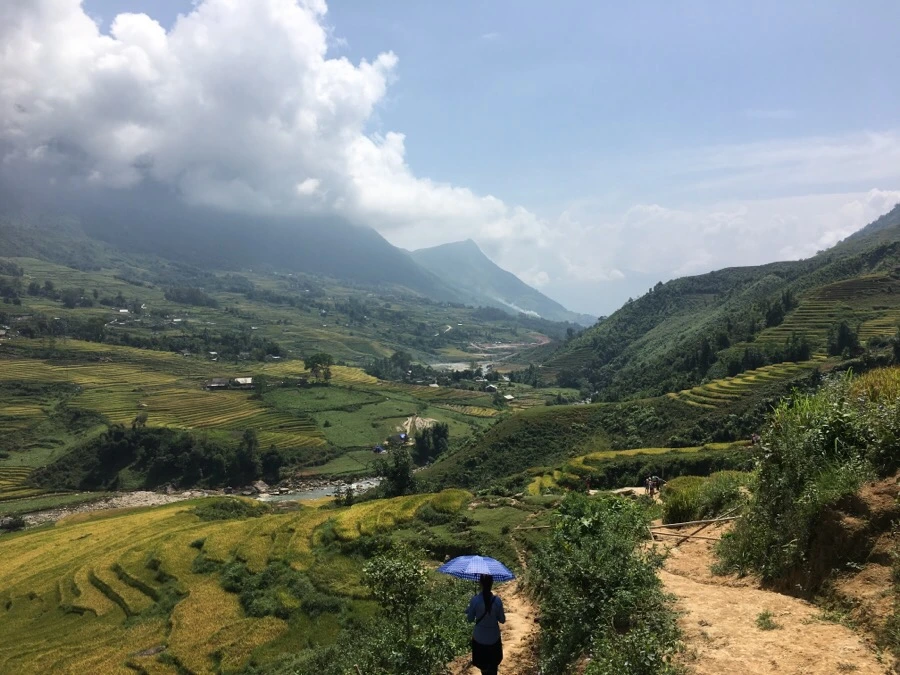 IMG_3535.JPG?type=w1