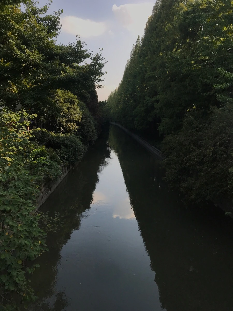 IMG_1308.jpg?type=w1