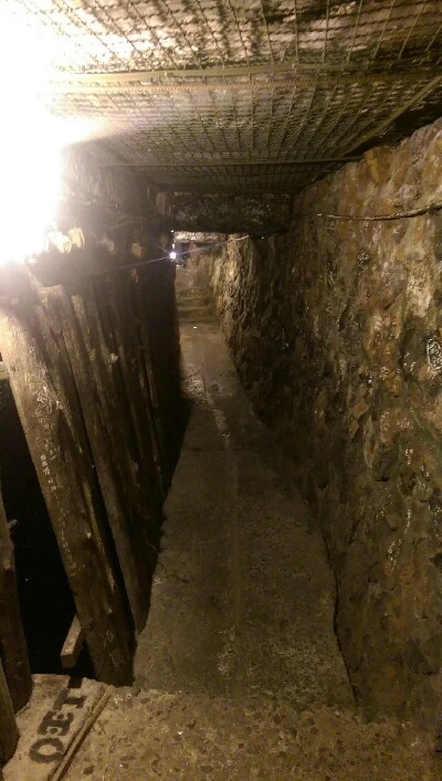 IMAG5323.jpg?type=w773