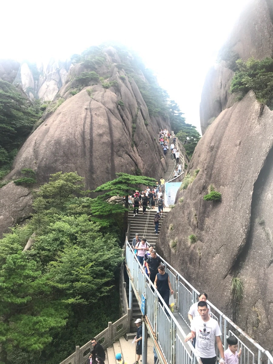 IMG_0906.jpg?type=w966