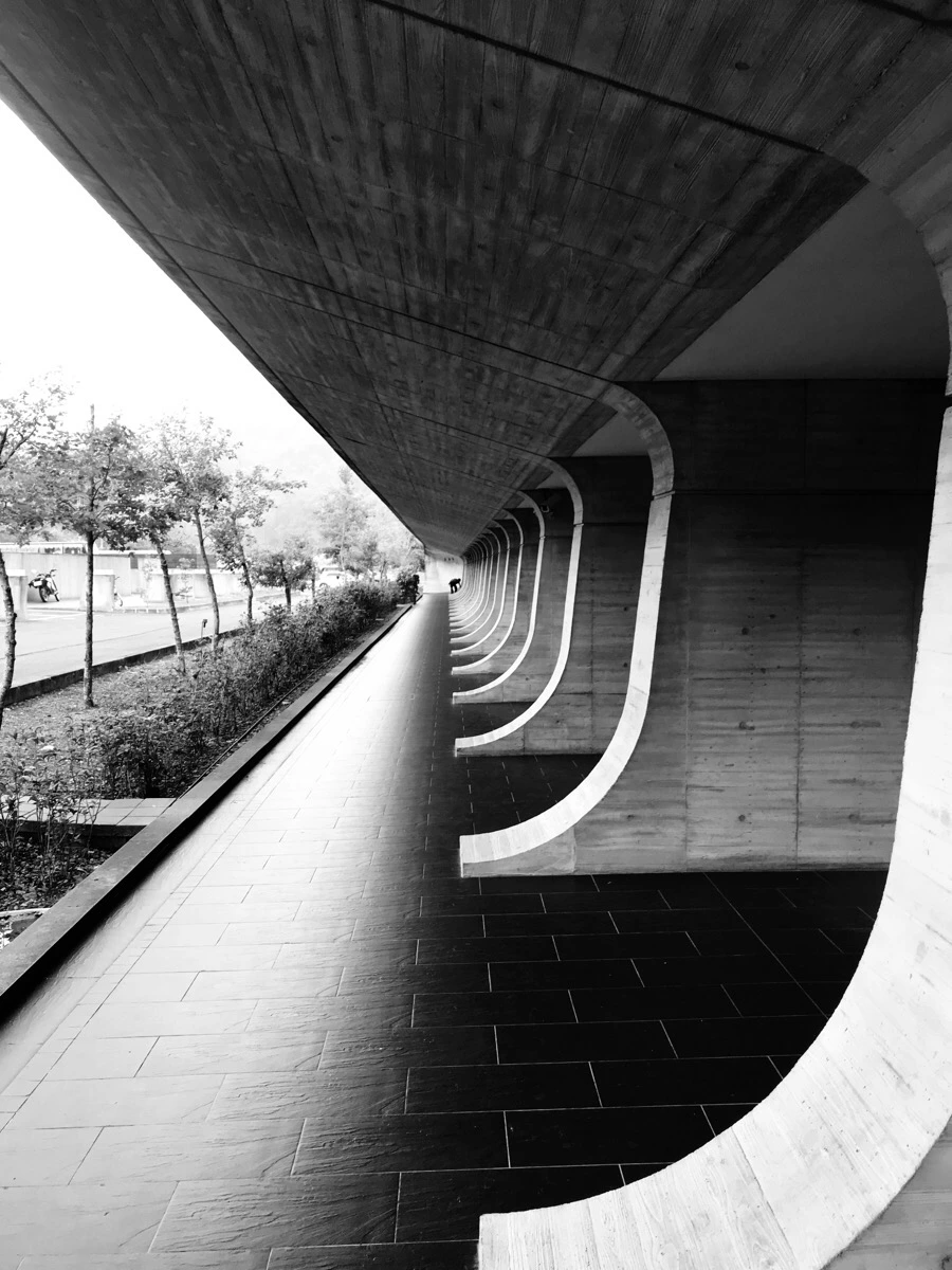 IMG_3092.jpg?type=w966