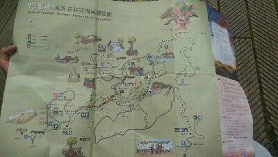 IMAG4953.jpg?type=w773