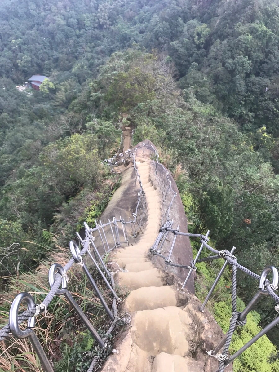 IMG_1087.jpg?type=w966