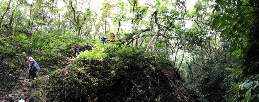 IMG_3654.jpg?type=w966