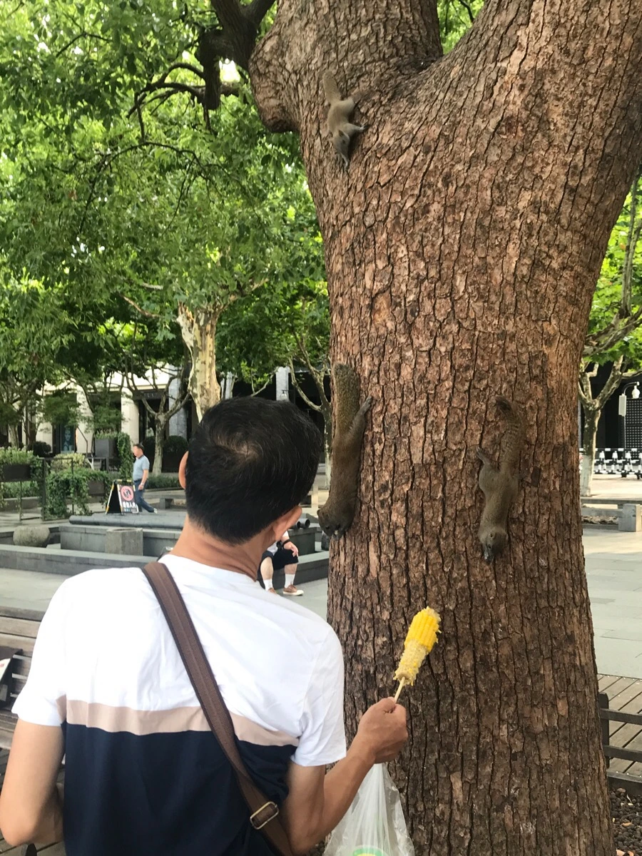 IMG_1032.jpg?type=w966