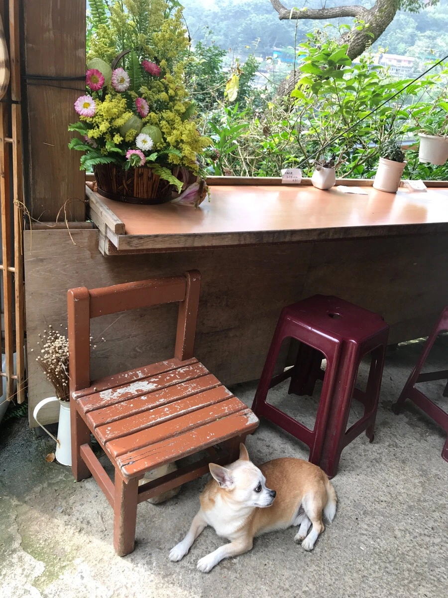 IMG_0044.jpg?type=w966