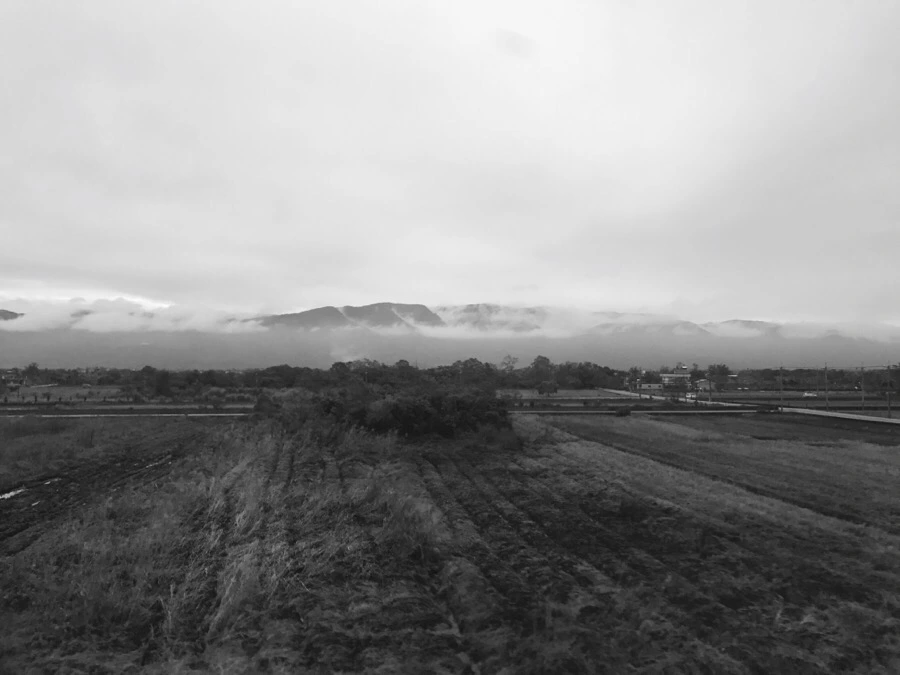 IMG_1347.jpg?type=w966