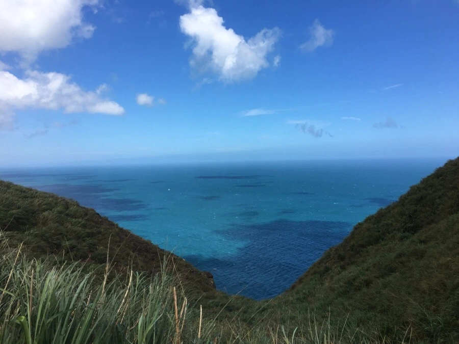 IMG_5047.JPG?type=w1