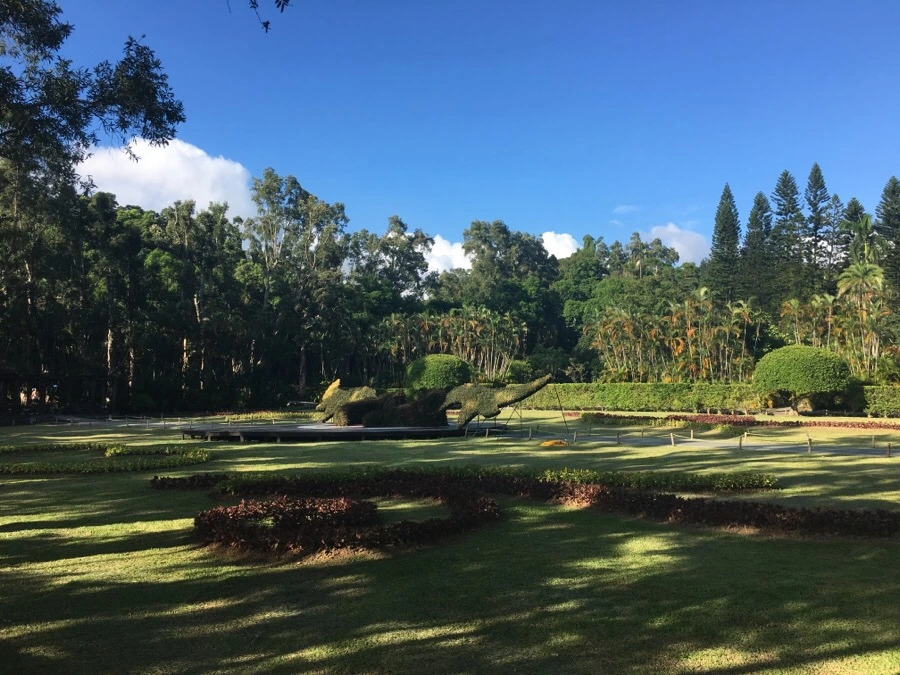 attachImage_2418043980.jpeg?type=w966