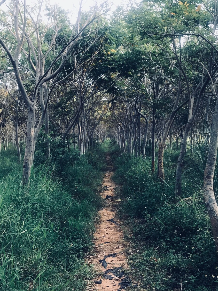 IMG_3278.jpg?type=w966