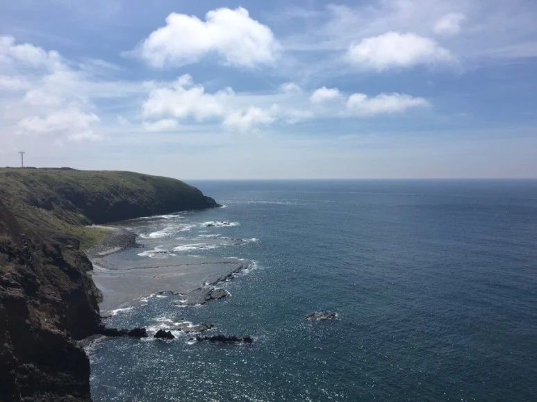 attachImage_3848550542.jpeg?type=w773