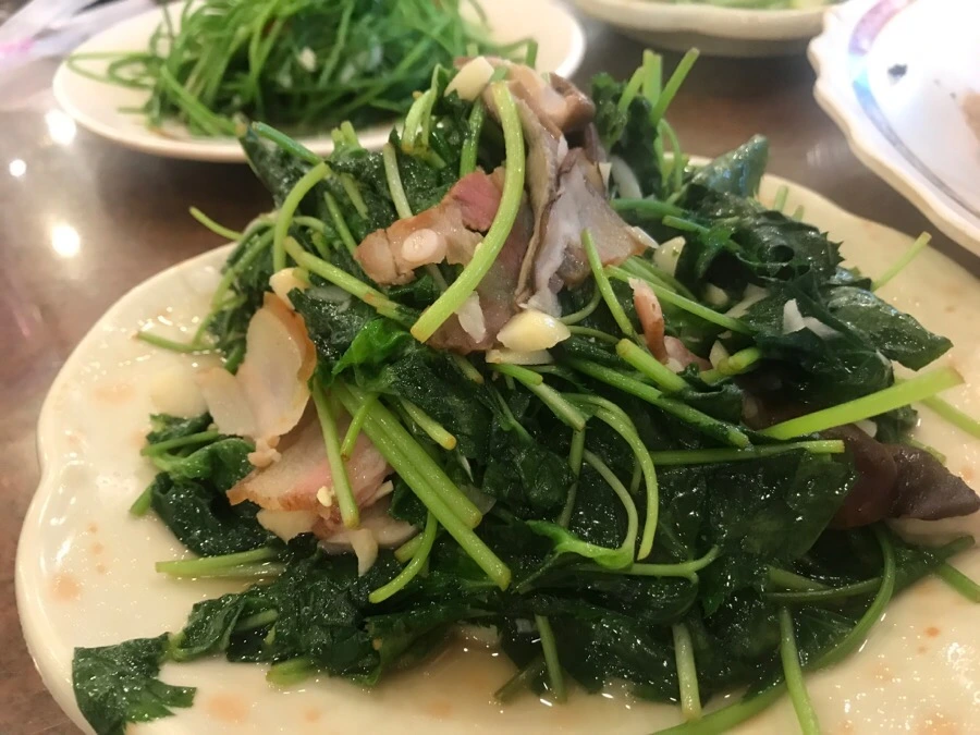 IMG_9052.jpg?type=w966