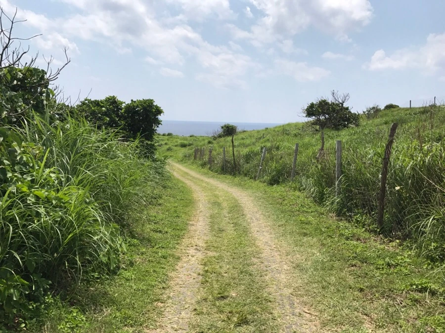 IMG_3909.jpg?type=w966