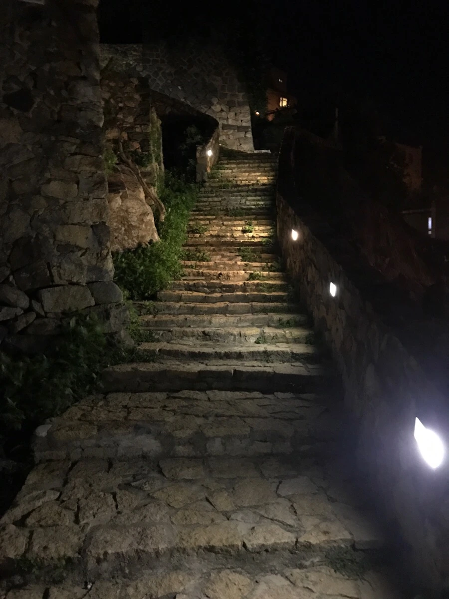 IMG_8296.jpg?type=w966