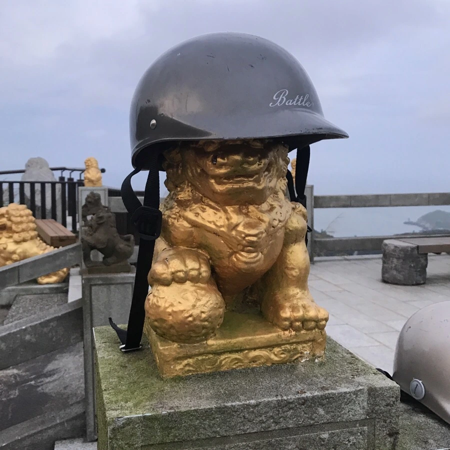 IMG_8610.jpg?type=w966