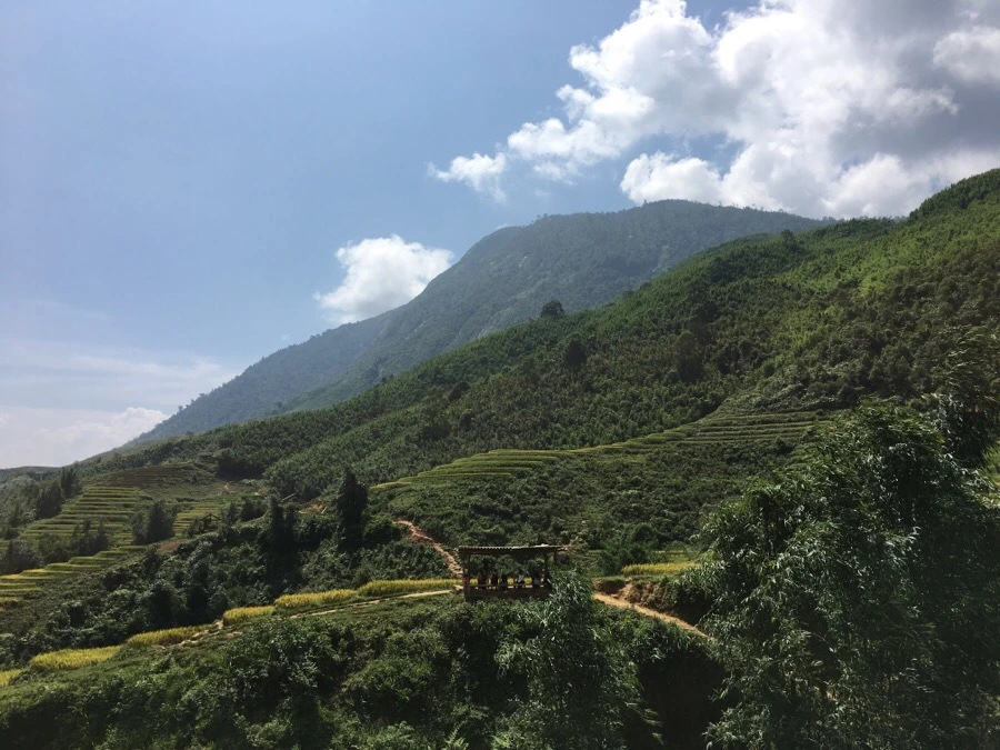 IMG_3543.JPG?type=w1