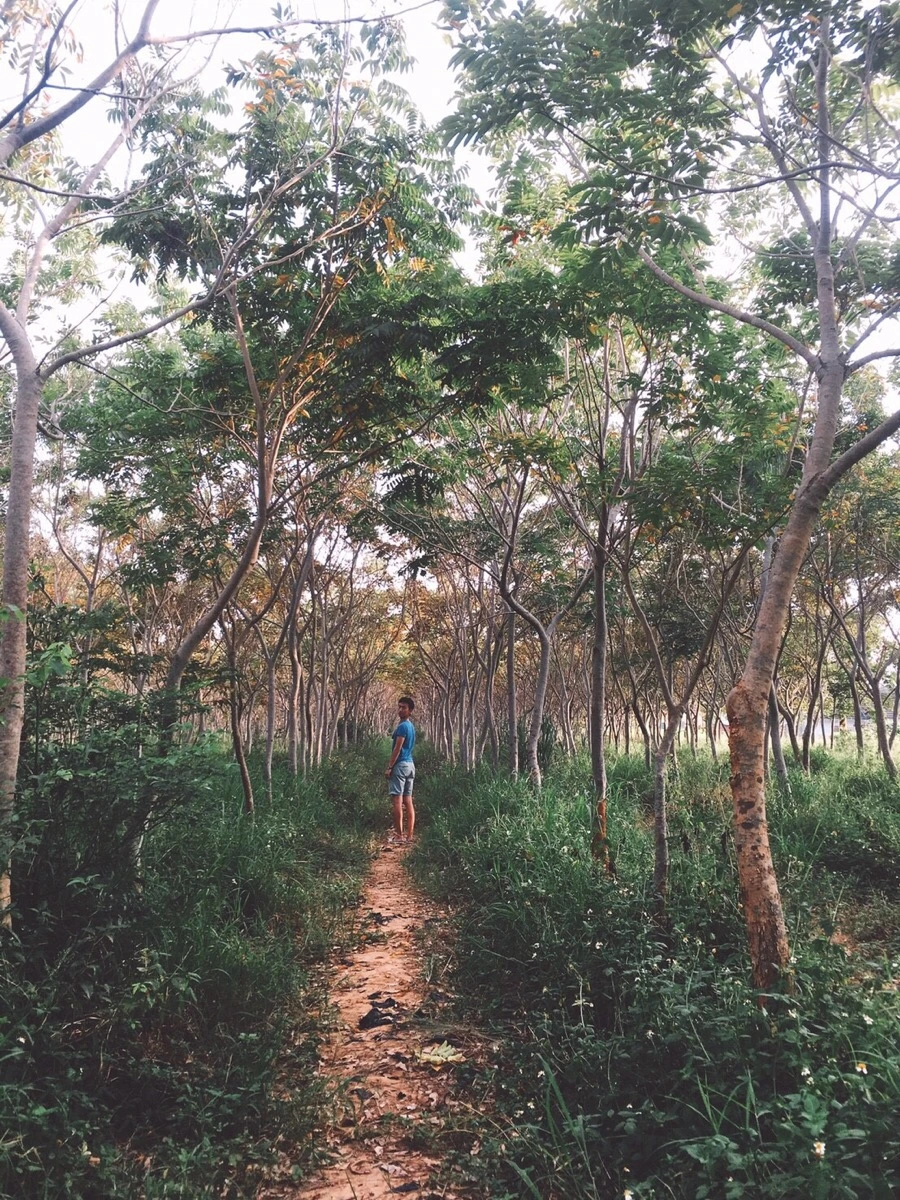 IMG_3467.jpg?type=w966