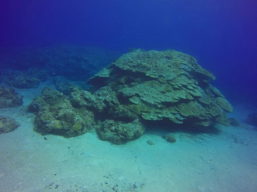 IMG_3600.jpg?type=w966