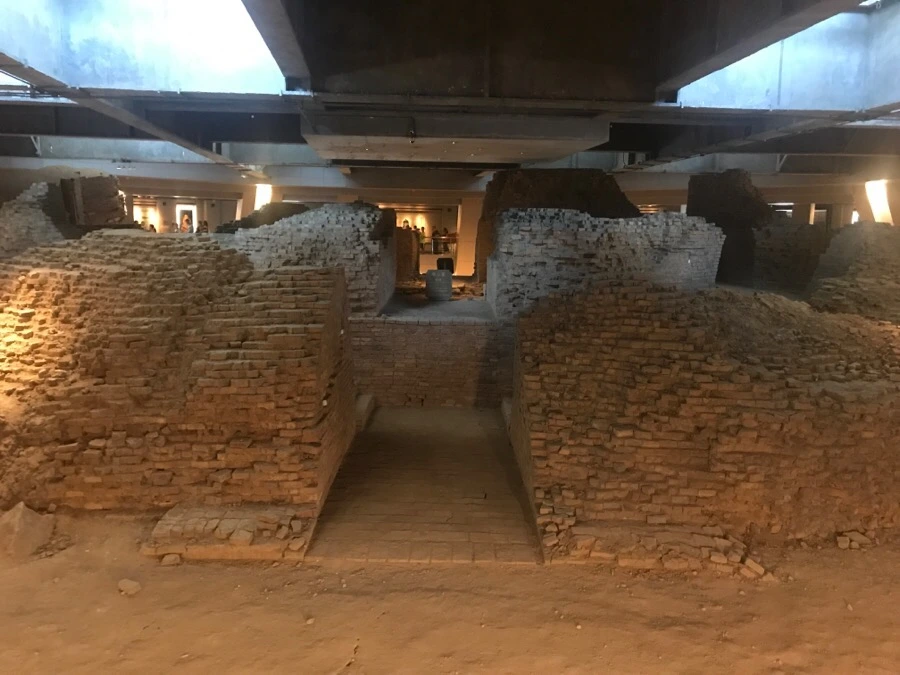 IMG_1224.jpg?type=w966