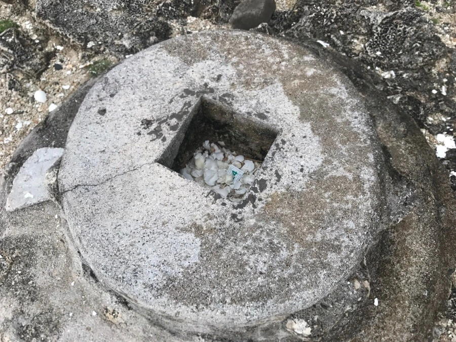 IMG_1567.jpg?type=w966