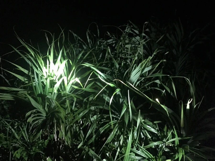 IMG_1439.jpg?type=w966