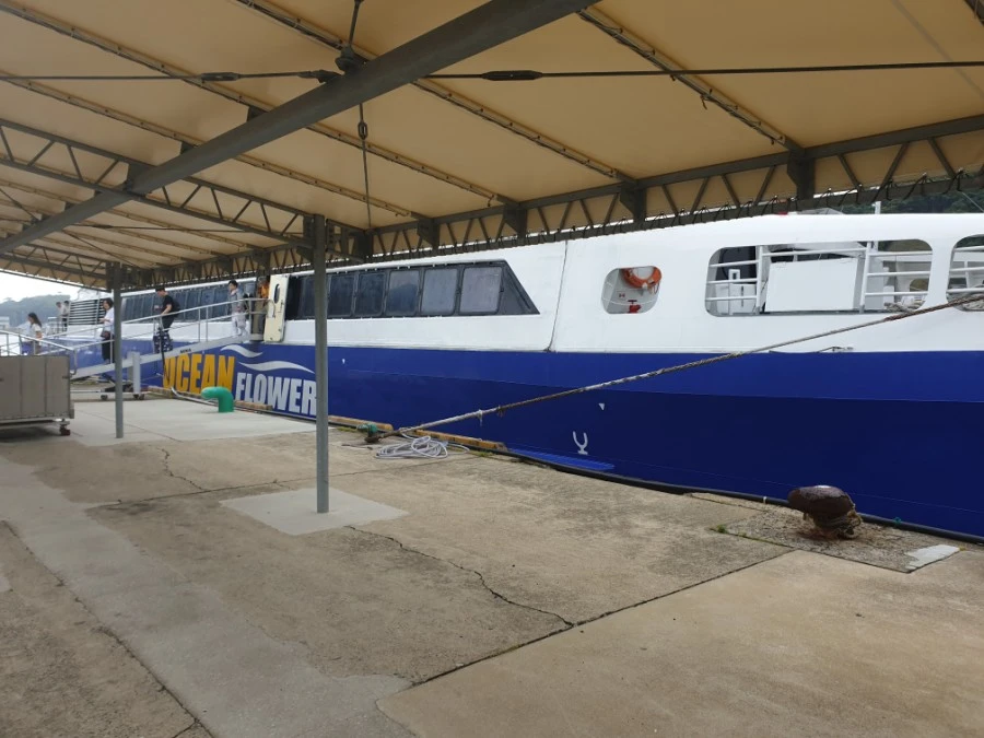 20190608_090812.jpg?type=w1