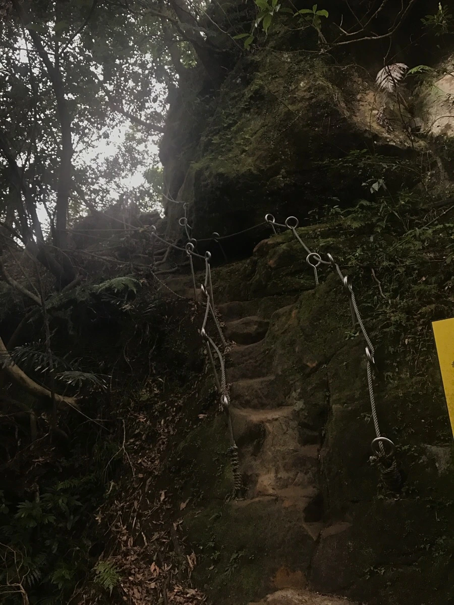 IMG_0982.jpg?type=w966