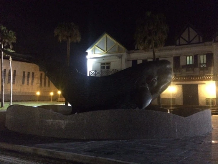 2016.2.13-14_%FC%A3%D6%A5_289.jpg?type=w2