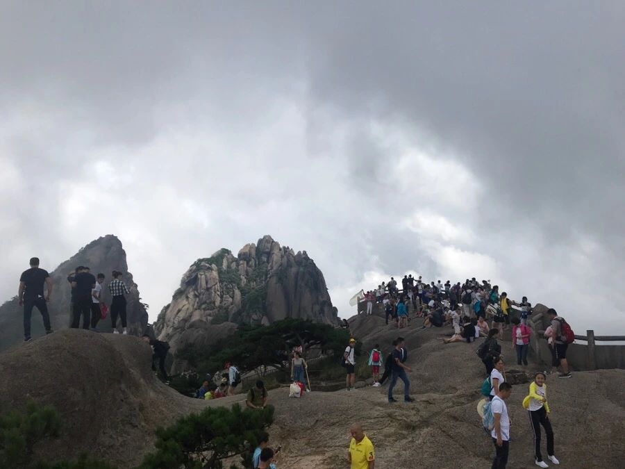 IMG_0804.jpg?type=w966