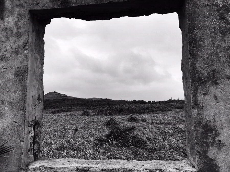 IMG_1909.jpg?type=w966