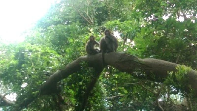 IMAG6008.jpg?type=w773