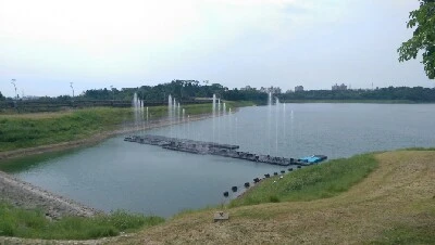 IMAG4762.jpg?type=w773