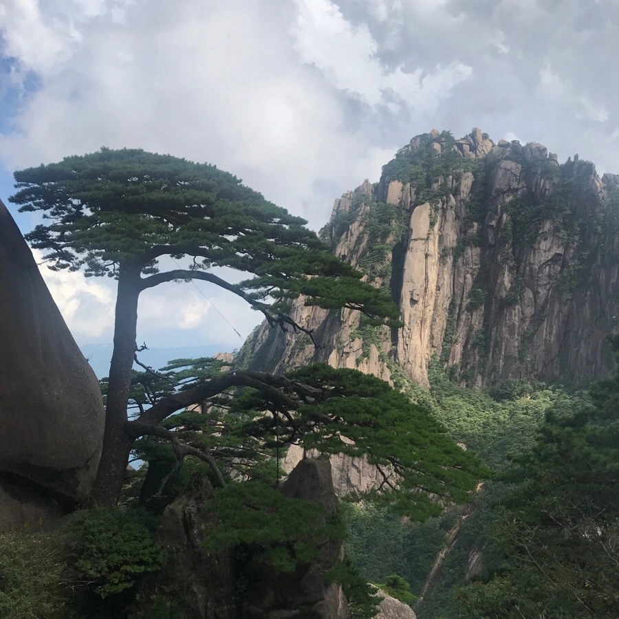 IMG_0918.jpg?type=w966