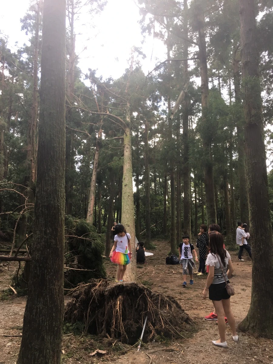 IMG_5345.JPG?type=w966