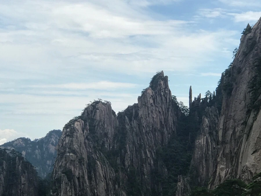 IMG_0742.jpg?type=w966