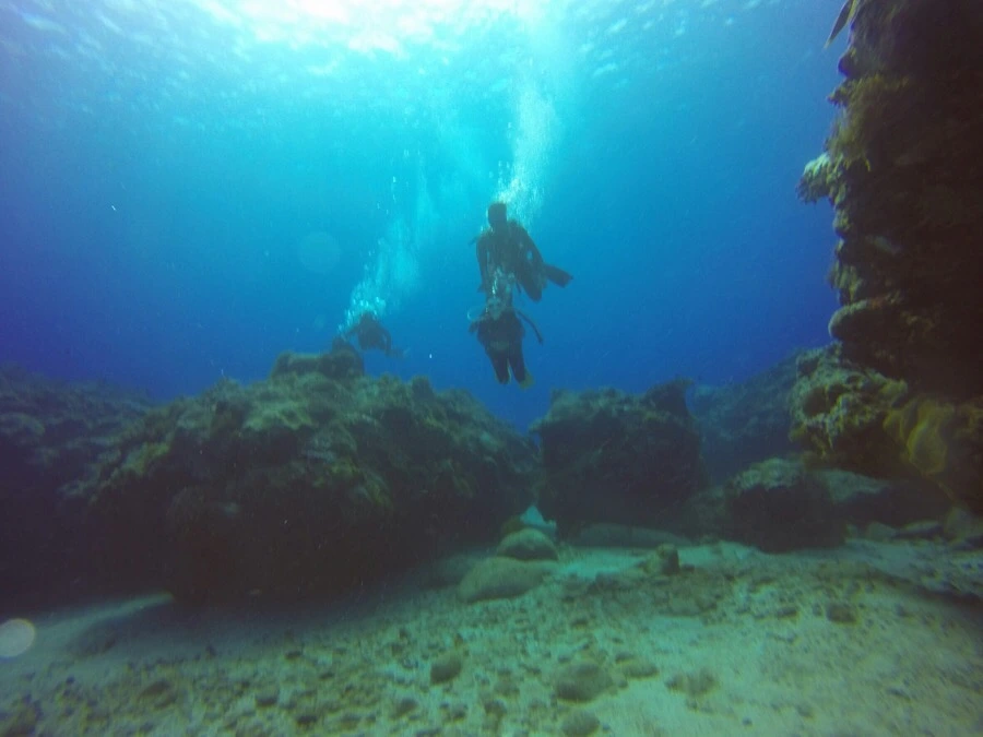 IMG_3596.jpg?type=w966