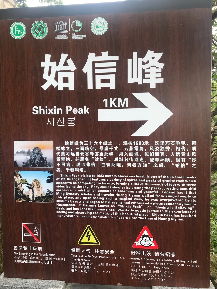 IMG_0713.jpg?type=w966