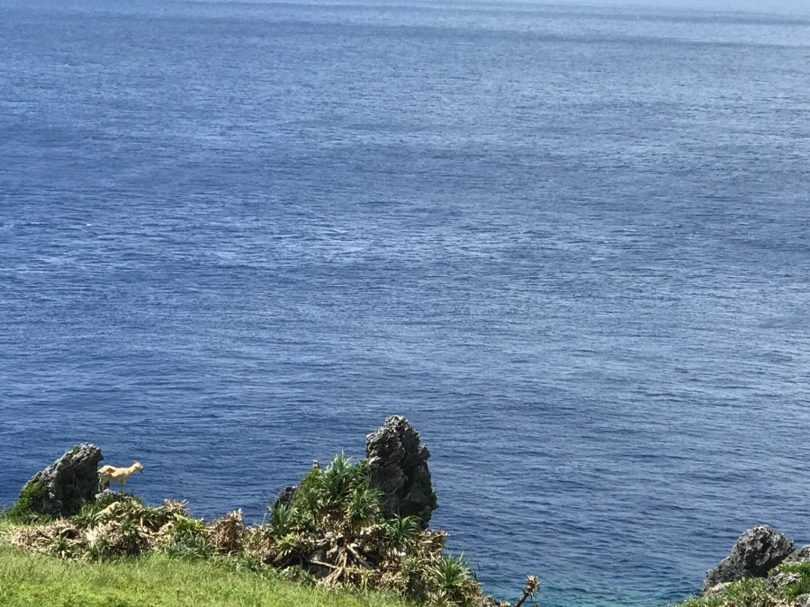 IMG_3926.jpg?type=w966