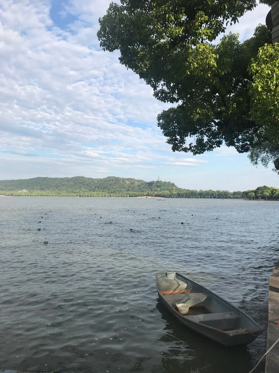 IMG_1038.jpg?type=w966