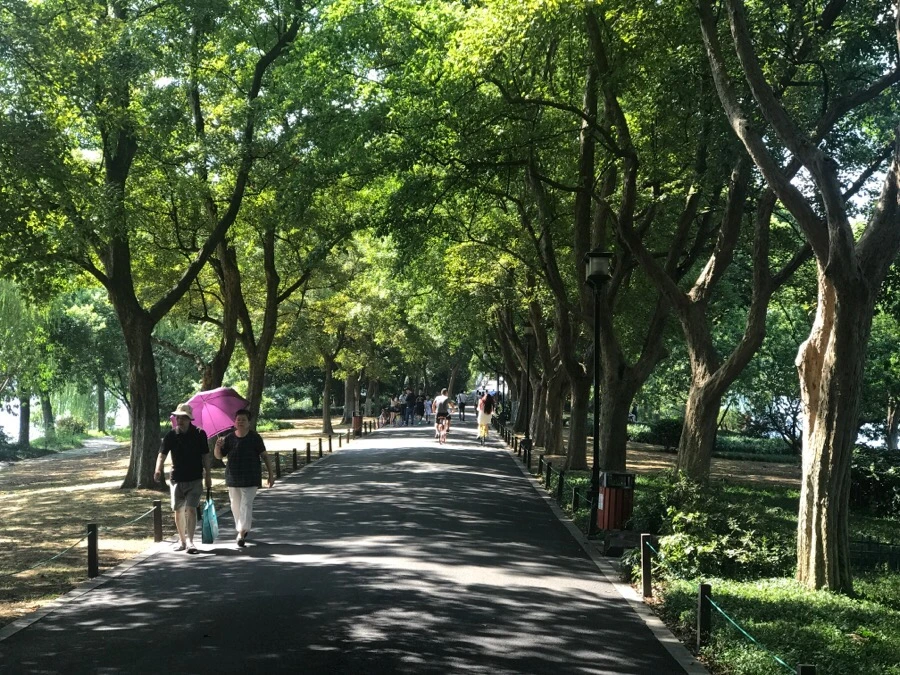 IMG_1167.jpg?type=w1