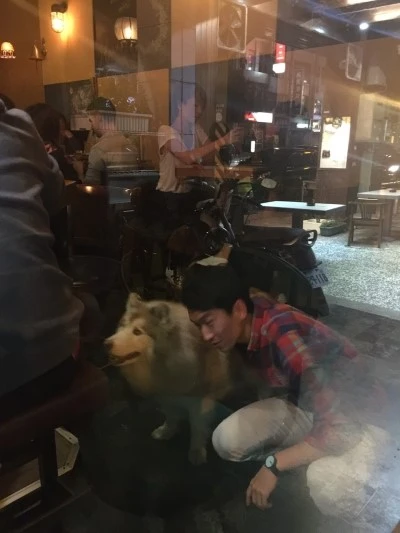 1455030449827.jpg?type=w2