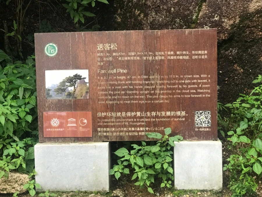 IMG_0907.jpg?type=w966