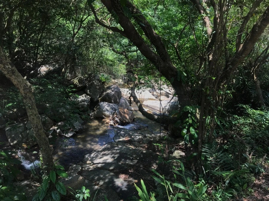 IMG_0136.jpg?type=w966