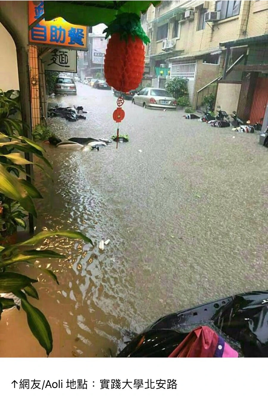 IMG_7382.jpg?type=w966