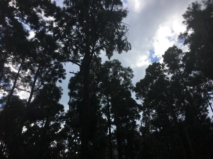 IMG_5341.JPG?type=w966