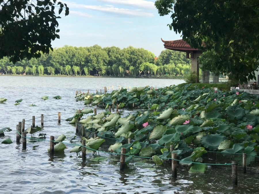 IMG_1044.jpg?type=w966