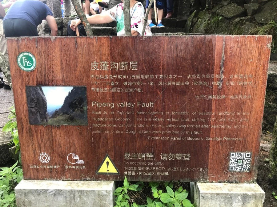 IMG_0752.jpg?type=w966