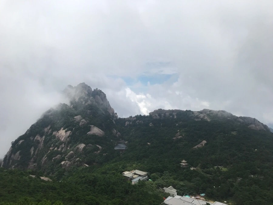 IMG_0769.jpg?type=w966