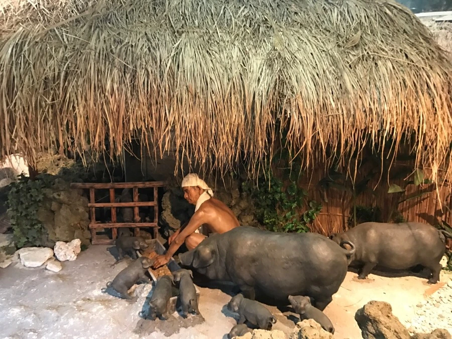 IMG_1695.jpg?type=w966